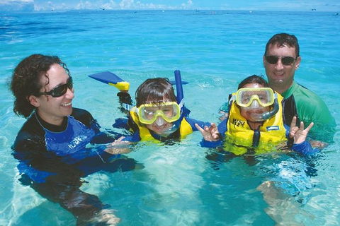Ocean Spirit Michaelmas Cay Dive And Snorkel Cruise From Palm Cove - Accommodation Broome 5