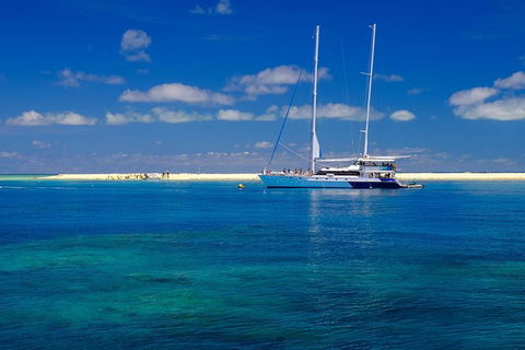 Ocean Spirit Michaelmas Cay Dive And Snorkel Cruise From Palm Cove - Accommodation Broome 3