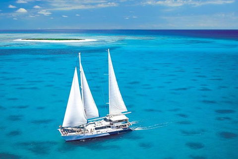 Ocean Spirit Michaelmas Cay Dive And Snorkel Cruise From Palm Cove - Accommodation Broome 8