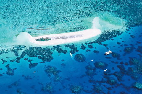 Ocean Spirit Michaelmas Cay Dive And Snorkel Cruise From Palm Cove - Accommodation Broome 7