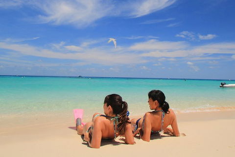 Ocean Spirit Michaelmas Cay Dive And Snorkel Cruise From Palm Cove - Accommodation Broome 2
