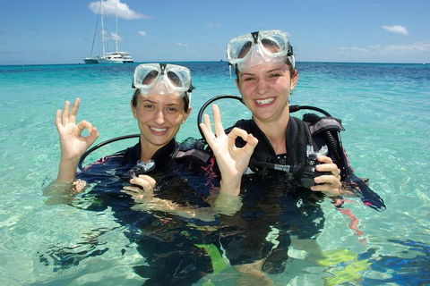 Ocean Spirit Michaelmas Cay Dive And Snorkel Cruise From Palm Cove - Accommodation Broome 10