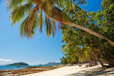 Private Daintree Wanderer Tour - Accommodation Broome 4