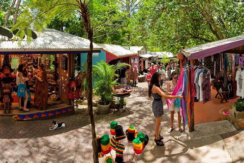 Kuranda Day Trip Small Group From Port Douglas By Bus - Accommodation Broome 2