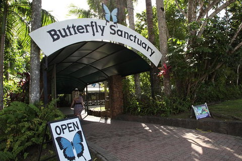 Kuranda Day Trip Small Group From Port Douglas By Bus - Accommodation Broome 6