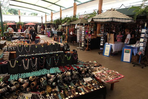 Kuranda Day Trip Small Group From Port Douglas By Bus - Accommodation Broome 5