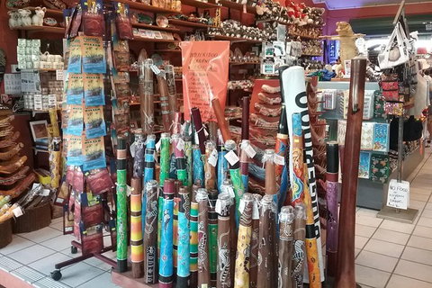 Kuranda Day Trip Small Group From Port Douglas By Bus - Accommodation Broome 9