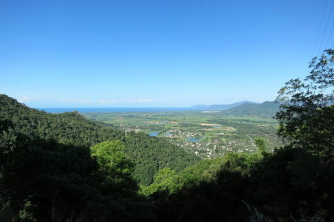 Kuranda Day Trip Small Group From Port Douglas By Bus - Accommodation Broome 4