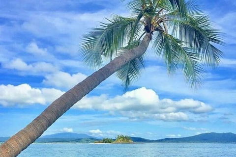 Dunk Island Round-Trip Water Taxi Transfer From Mission Beach - Accommodation Broome 6