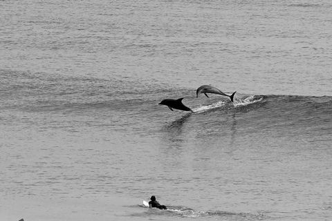 Overnight Tweed Coast Camping And Surfing Getaway From The Gold Coast - Accommodation Broome 0