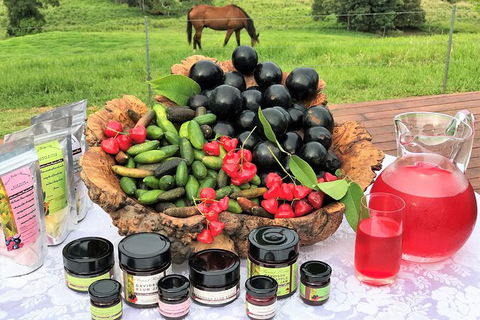 Atherton Tablelands Small-Group Food & Wine Tasting Tour From Port Douglas - Accommodation Broome 12