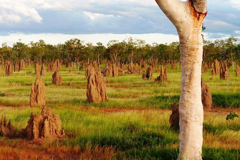 Atherton Tablelands Small-Group Food & Wine Tasting Tour From Port Douglas - Accommodation Broome 18