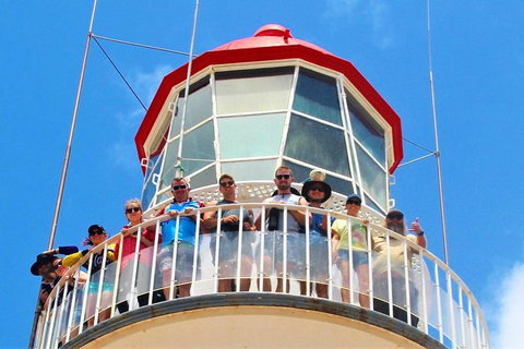 Full-Day 1770 Tour By LARC Amphibious Vehicle Including Sandboarding And Bustard Head Lightstation - Accommodation Broome 4