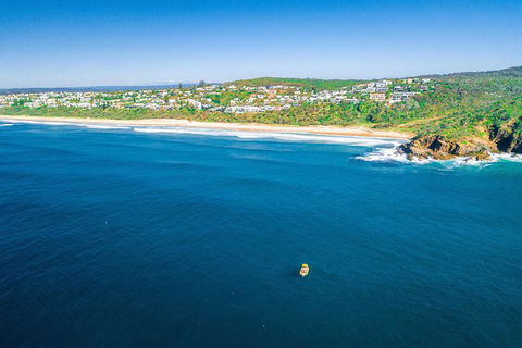 Noosa Oceanrider Scenic Dolphin Safari - Accommodation Broome 5
