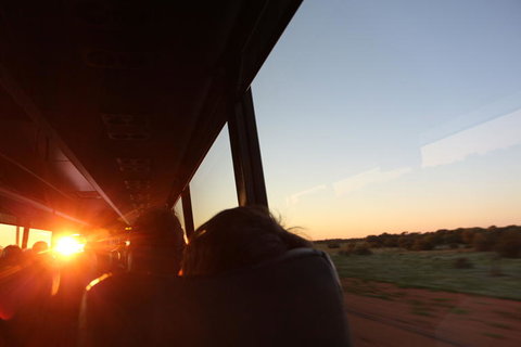 Kings Canyon Day Trip From Ayers Rock - Accommodation Broome 22