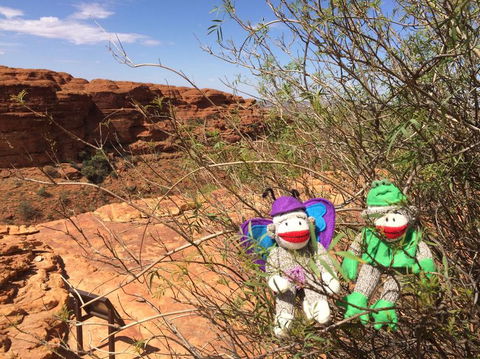 Kings Canyon Day Trip From Ayers Rock - Accommodation Broome 23