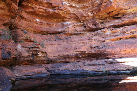 Kings Canyon Day Trip From Ayers Rock - Accommodation Broome 16