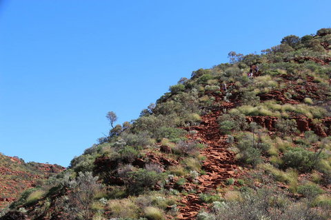 Kings Canyon Day Trip From Ayers Rock - Accommodation Broome 21