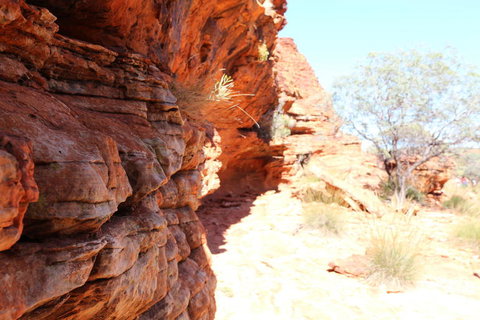 Kings Canyon Day Trip From Ayers Rock - Accommodation Broome 20