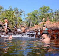 Litchfield and Jumping Crocodiles Full Day Trip from Darwin - Accommodation Broome