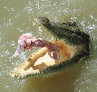 Darwin Jumping Crocodiles Cruise on Adelaide River - Accommodation Broome