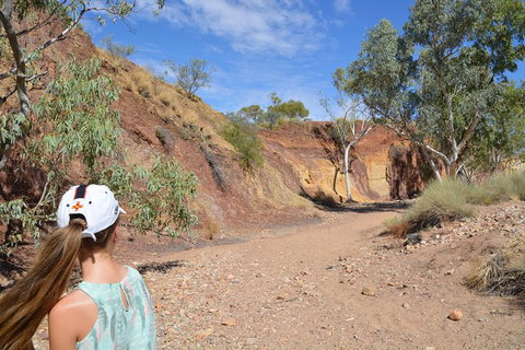 West MacDonnell Ranges Small-Group Full-Day Guided Tour - Accommodation Broome 2