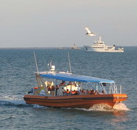 1-Hour Darwin Harbour Highlights Cruise - Accommodation Broome