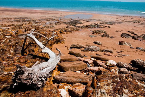 Darwin Shore Excursion: Hop-on Hop-off Bus Tour - Accommodation Broome 9