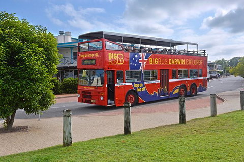 Darwin Shore Excursion: Hop-on Hop-off Bus Tour - Accommodation Broome 4