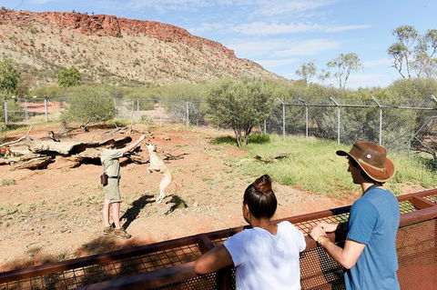 Alice Springs Desert Park General Entry Ticket - Accommodation Broome 9