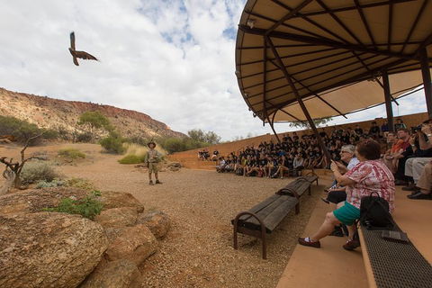 Alice Springs Desert Park General Entry Ticket - Accommodation Broome 5