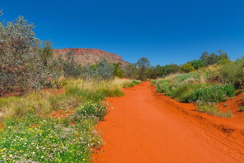 Alice Springs Desert Park General Entry Ticket - Accommodation Broome 7