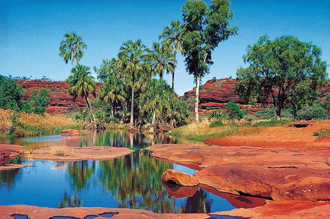 Palm Valley 4WD Tour From Alice Springs - Accommodation Broome 1