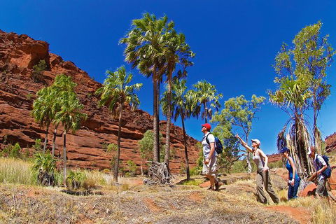 Palm Valley 4WD Tour From Alice Springs - Accommodation Broome 0