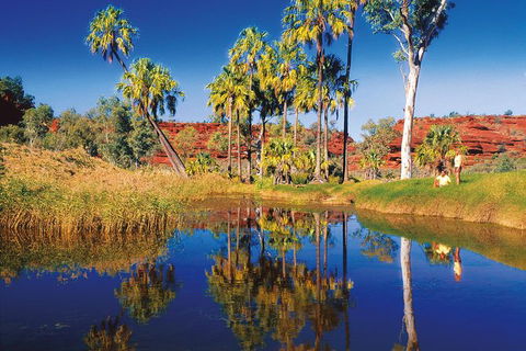 Palm Valley 4WD Tour From Alice Springs - Accommodation Broome 3