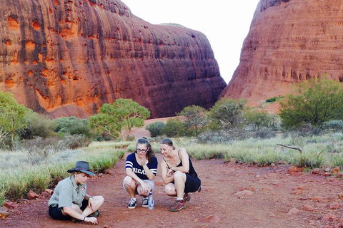 Afternoon Kata Tjuta Small Group Tour - Accommodation Broome 7
