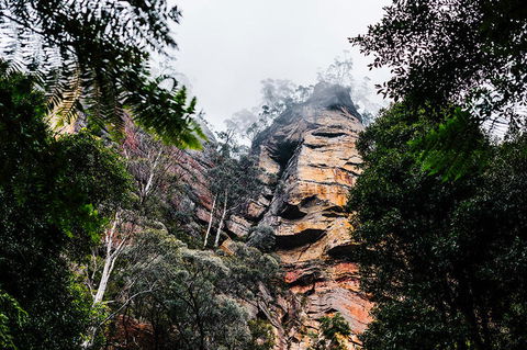 All-Inclusive Blue Mountains Day Trip With River Cruise - Accommodation Broome 3
