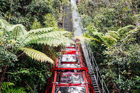 All-Inclusive Blue Mountains Day Trip With River Cruise - Accommodation Broome 6