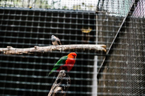 All-Inclusive Blue Mountains Day Trip With River Cruise - Accommodation Broome 17