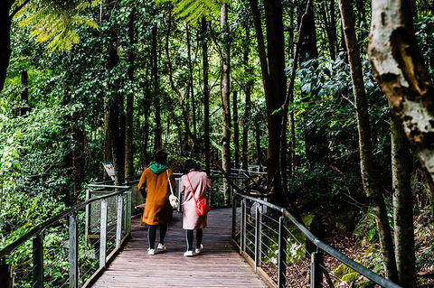 All-Inclusive Blue Mountains Day Trip With River Cruise - Accommodation Broome 10