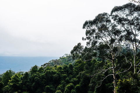 All-Inclusive Blue Mountains Day Trip With River Cruise - Accommodation Broome 18