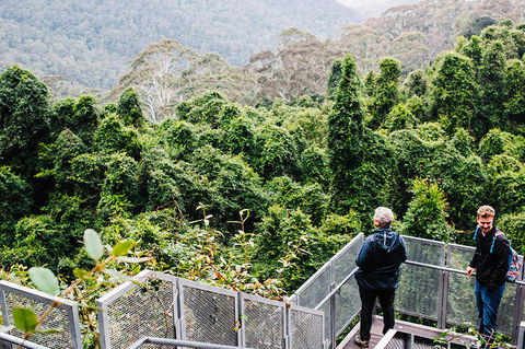 All-Inclusive Blue Mountains Day Trip With River Cruise - Accommodation Broome 2