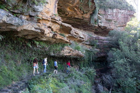 All-Inclusive Blue Mountains Day Trip With River Cruise - Accommodation Broome 38
