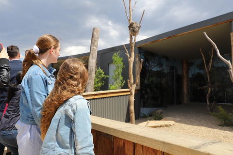 All-Inclusive Blue Mountains Day Trip With River Cruise - Accommodation Broome 23