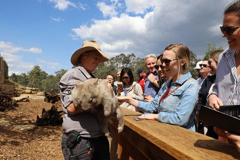 All-Inclusive Blue Mountains Day Trip With River Cruise - Accommodation Broome 27