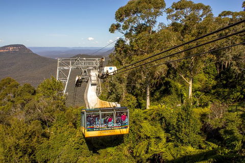 All-Inclusive Blue Mountains Day Trip With River Cruise - Accommodation Broome 39
