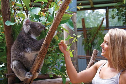 Private Guided Tour: Blue Mountains Tour From Sydney - Accommodation Broome 8