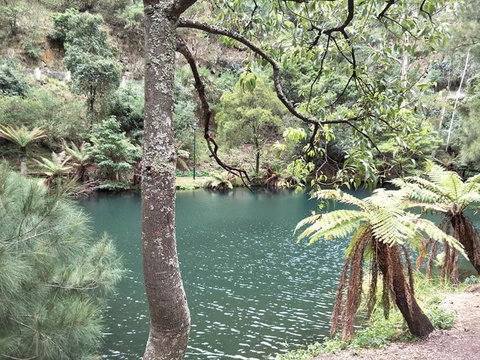 Jenolan Caves And Blue Mountains Tour From Sydney - Accommodation Broome 2