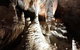 Jenolan Caves And Blue Mountains Tour From Sydney - thumb 14