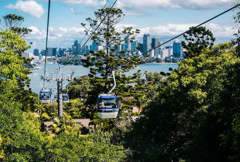 Sydney Taronga Zoo General Entry Ticket And Wild Australia Experience - Accommodation Broome 13